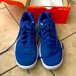 Nike Hyperdunk Low TB.  Size 11